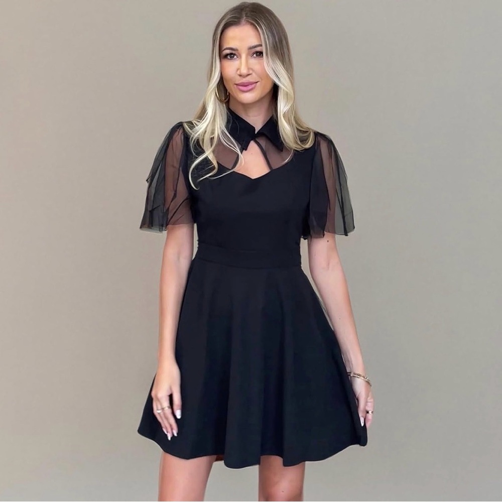 Women's Mesh Sleeve Vintage Swing Skater Dress